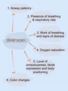 Visual image of Brief Scan of Respiratory System