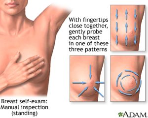 Visual guide to palpation of breasts