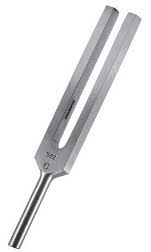 Tuning fork