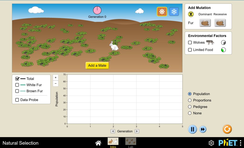 A screenshot of the homepage for the Natural Selection simulation. The simulation screen contains one white rabbit and plants. There are toggles for season, mutations, and environmental factors. There is a graph that indicates the population of rabbits in each generation.