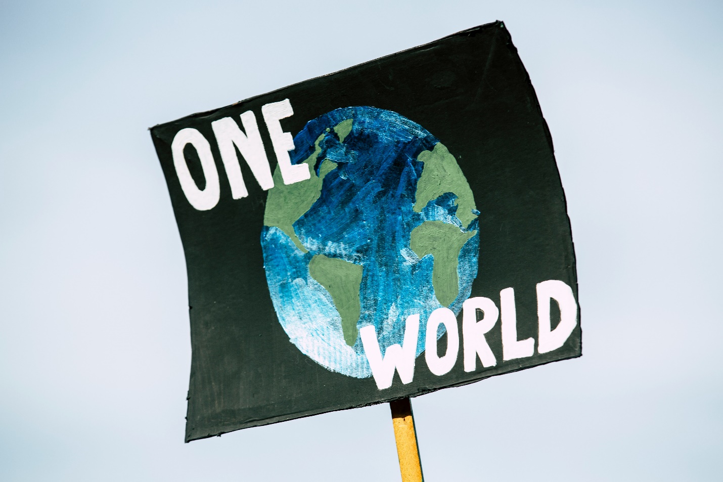 A picket sign with a painting of the Earth and the words "One World"