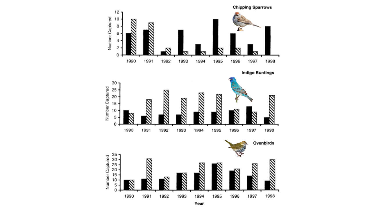 This graph depicts the relationship between the populations of three bird species and the presence of deer populations. When deer populations were controlled in 1990 (in the exclosure sites, depicted with the hatched bars), both the populations of indigo buntings and the populations of oven birds increased over time.