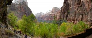 Photograph in Zion National Park.