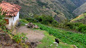 Photography of small house the Andes Mountains in Venezuela.