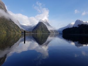 Strikingly beautiful photography in Milford Sound, New Zealand. The photo captures the reflection from the waters of the sound showing the adjacent mountains.