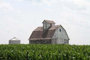 Photograph of barn and corn field in Iowa.