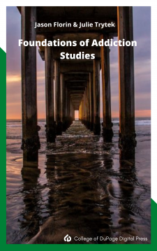 Foundations of Addiction Studies book cover