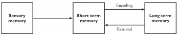 Module 9: Cognitive Psychology: The Revolution Goes Mainstream ...