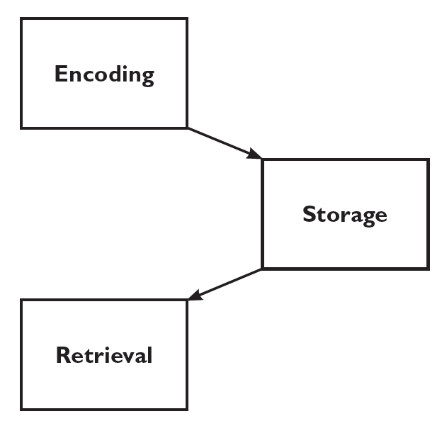 Module 5 Memory Introduction to Psychology, 2nd Edition