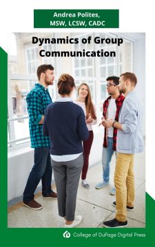 Dynamics of Group Communication book cover