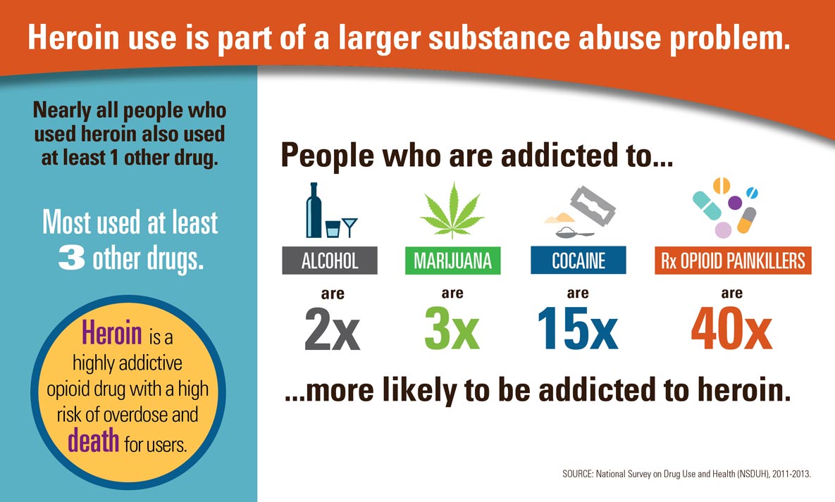 Chart that says "Heroin use is part of a larger substance abuse problem" Nearly all poeple who used heroin also used at least 1 other drug. Most used at least 3 other drugs. Heroin is a highly addictive opioid drug with a high risk of overdose and death for users. People who are addicted to alcohol are 2 times more likely to be addicted to heroin. People who are addicted to marijuana are 3 times more likely to be addicted to heroin. People who are addicted to cocaine are fifteen times more likely to be addicted to heroin. Perscription opioid painkillers are 40 times more likely to be addicted to heroin.