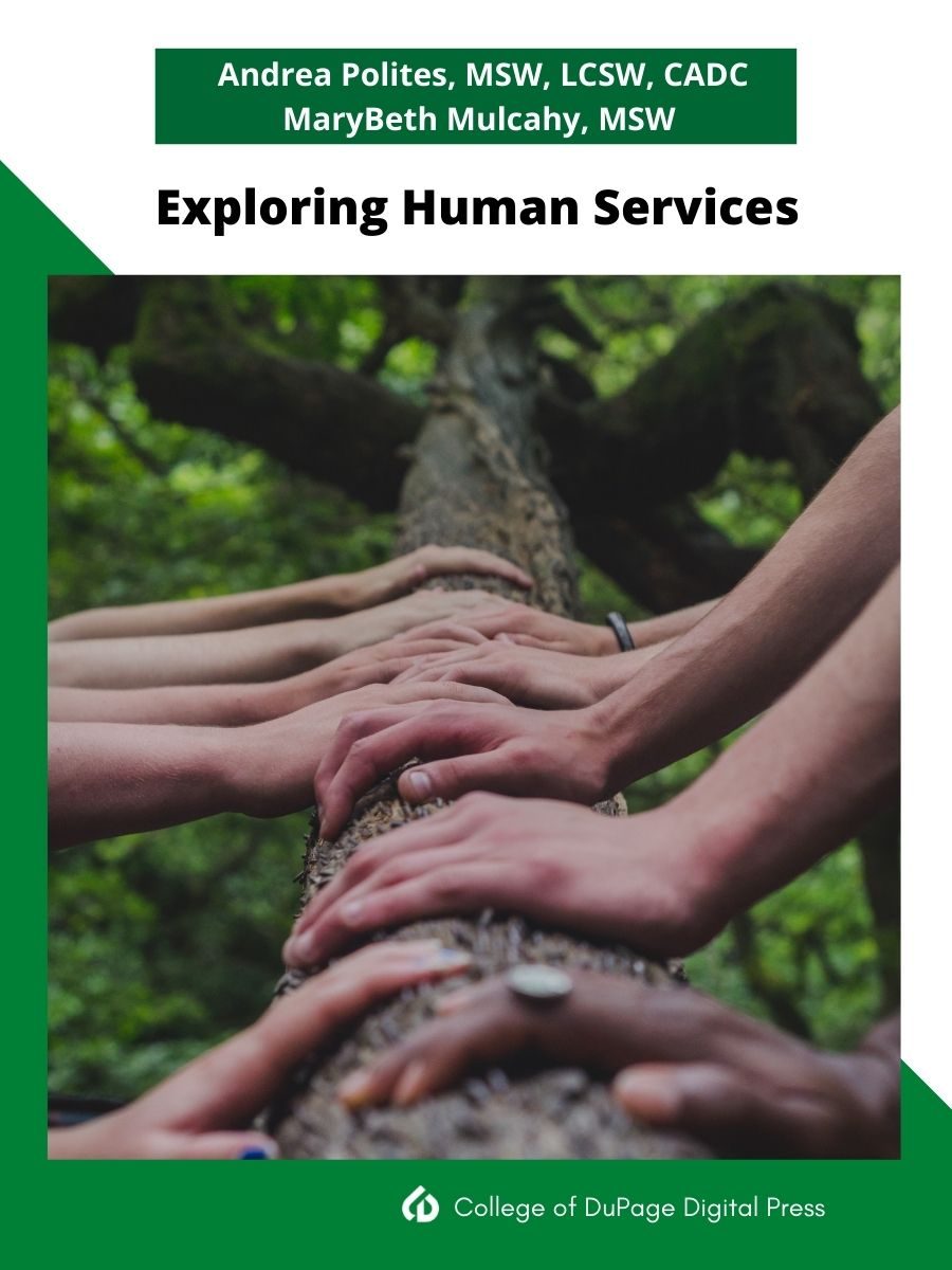 Cover image for Exploring Human Services